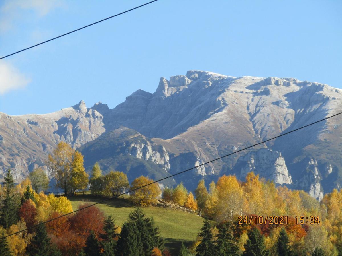 Ograda De La Munte Villa Bran  Dış mekan fotoğraf