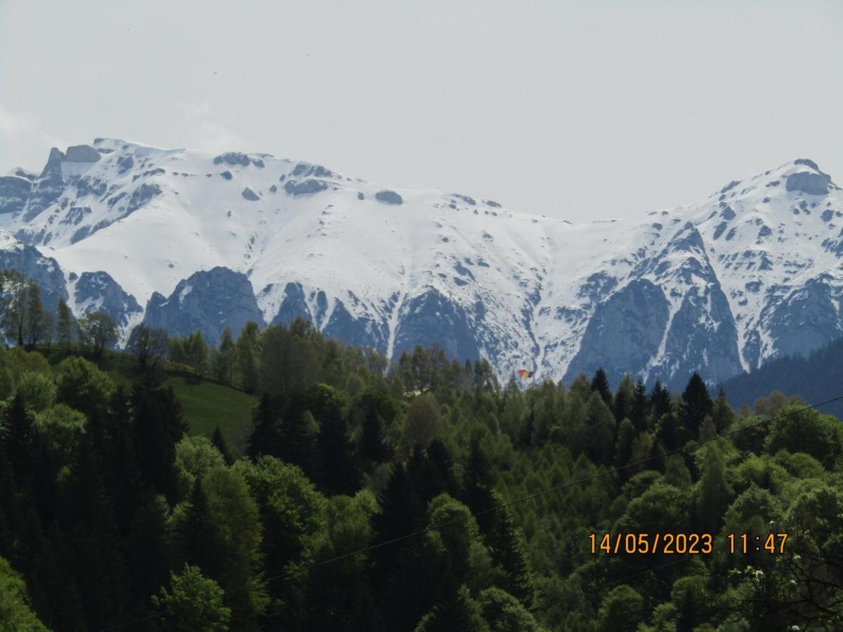 Ograda De La Munte Villa Bran  Dış mekan fotoğraf