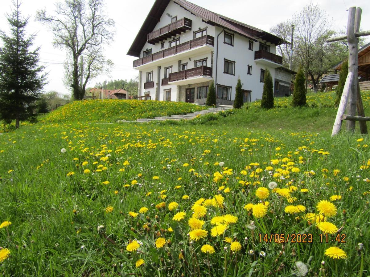 Ograda De La Munte Villa Bran  Dış mekan fotoğraf
