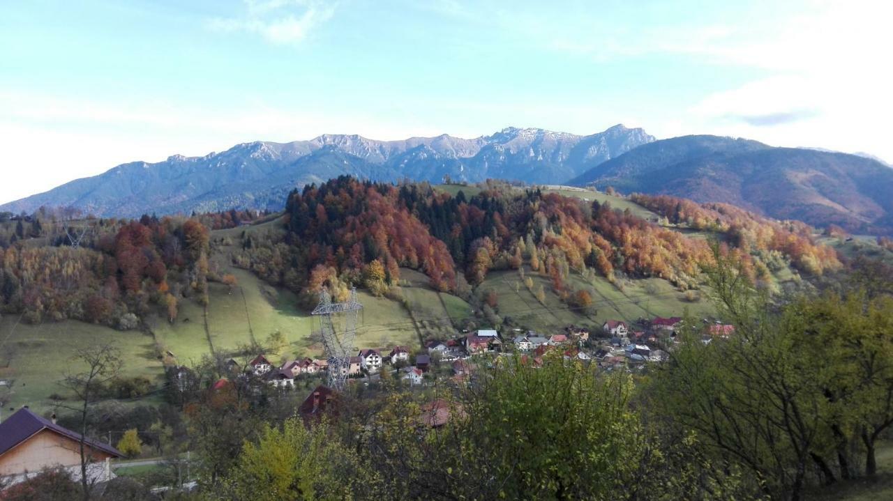 Ograda De La Munte Villa Bran  Dış mekan fotoğraf