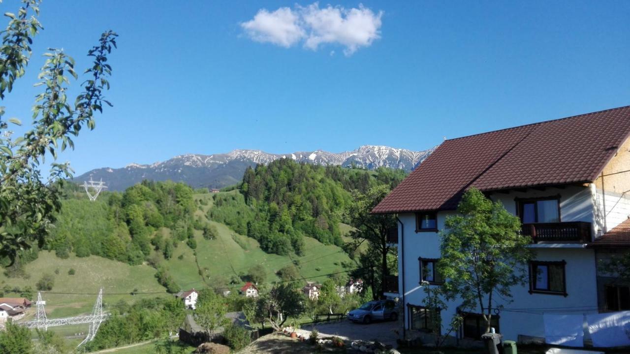Ograda De La Munte Villa Bran  Dış mekan fotoğraf